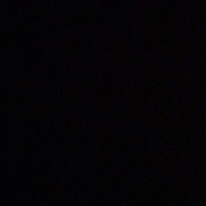 Meet your Posher, Shane